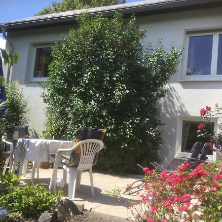 Ferienhaus Moock Horn-Bad Meinberg Kültér fotó