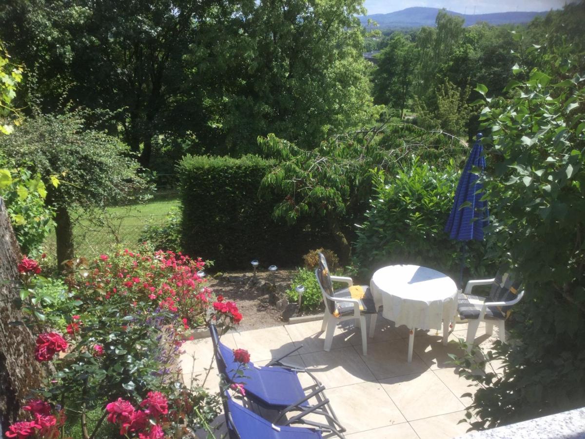Ferienhaus Moock Horn-Bad Meinberg Kültér fotó